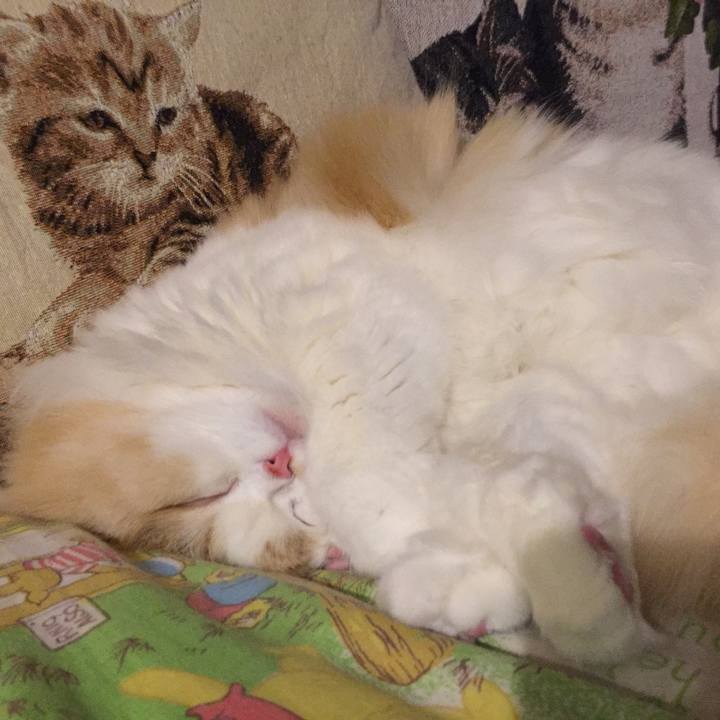 3d44fadd 466b 4201 a400 268b5a7d2f13 1519390240718