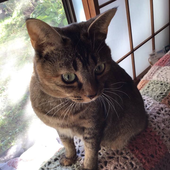 3d451c80 8b71 4a24 a933 cac31b259cd8 1634951643201