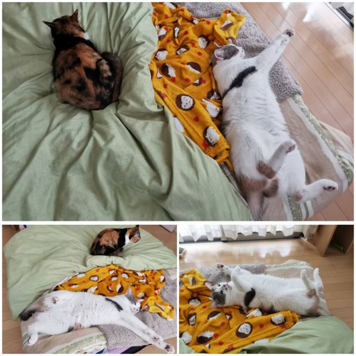 3d451fd1 120b 4304 9d86 555d9ed133f2 1651303439376