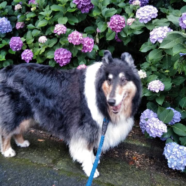 3d454d1c fc13 452b a962 20be0545378a 1528980812088