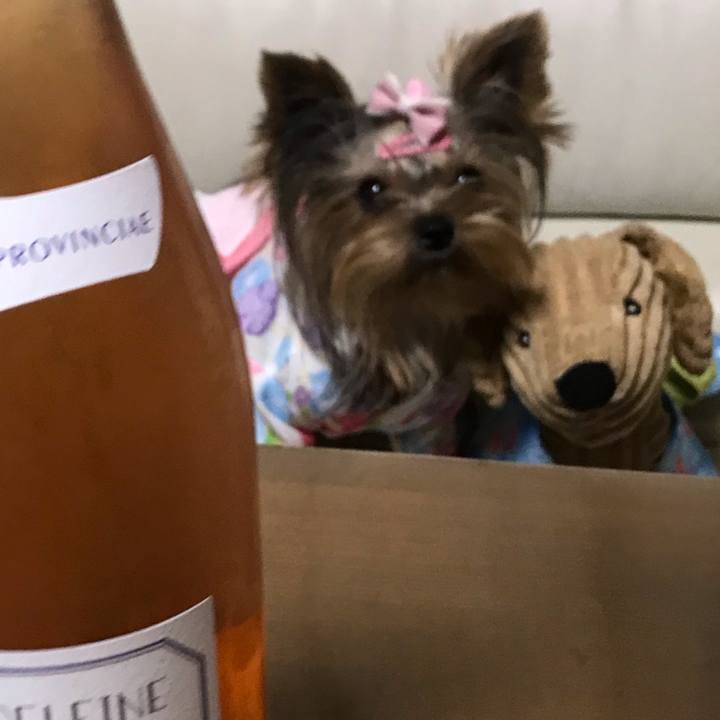 3d458e44 34ba 40c7 bcb1 030f2a73073a 1660995540921