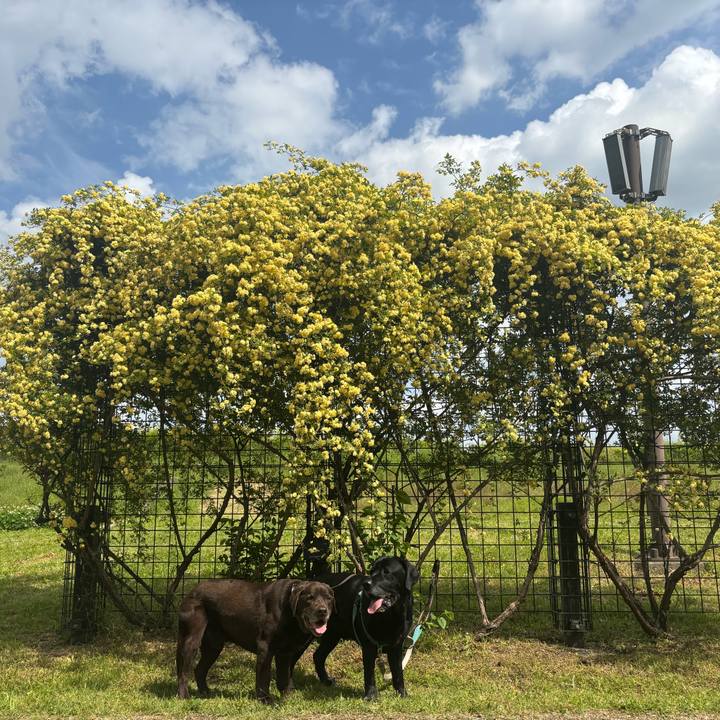 3d45e804 c8fa 4228 a763 0d97450cdc23 1777288676076