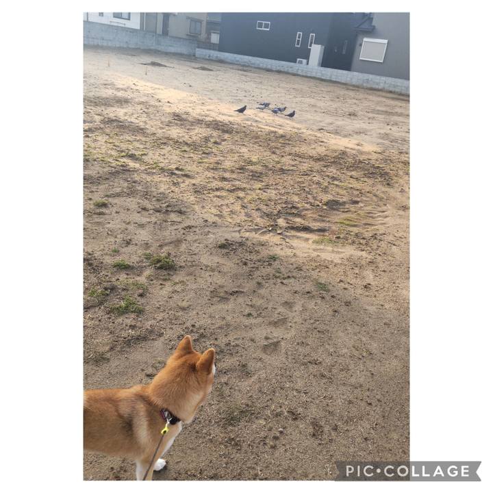 3d4600a2 791e 461c 993b 4f7138d25314 1711760461626