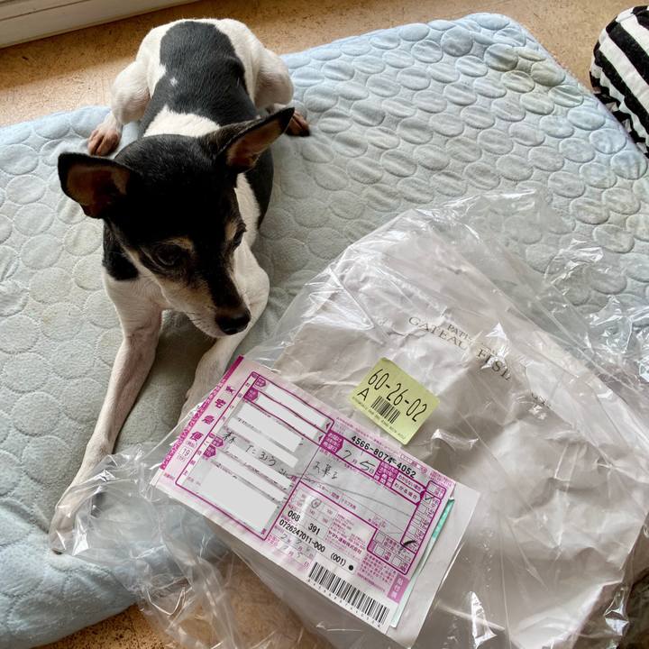 3d4617ef 1454 458e 94ce c7c3ad8f40d9 1593920232493