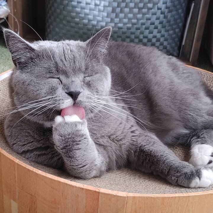 3d462904 02b3 4ab5 9496 9e9d4d7517a9 1645926802860