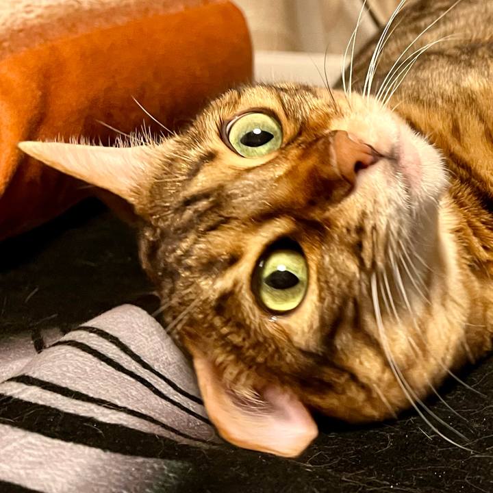 3d4659de 541e 4c29 aaf4 0ea8644ef24b 1654310891757