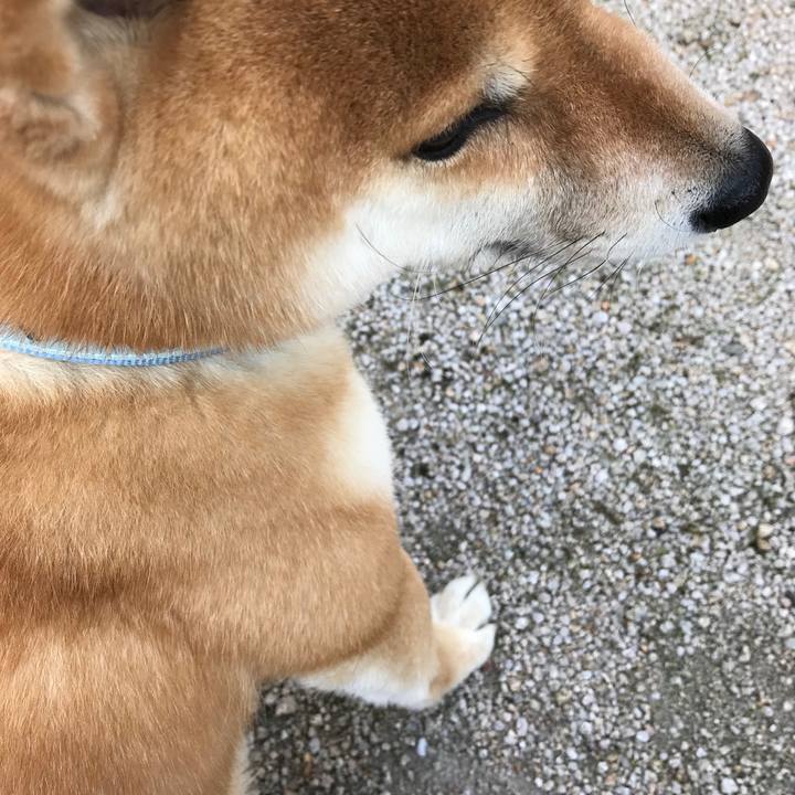 3d465f4f f8ab 467e 89c1 d6725e6915ba 1587039707569