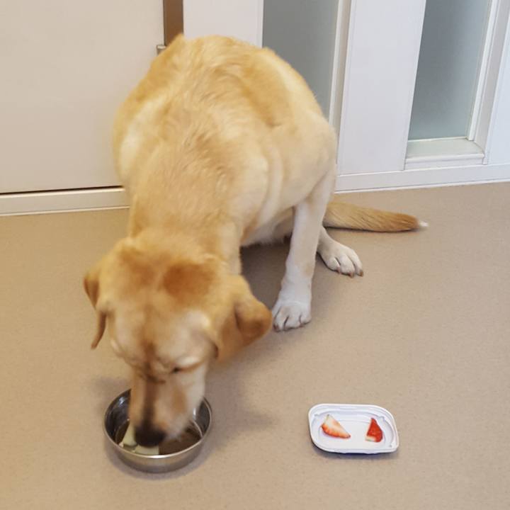 3d46608c 8a34 4bd2 8e60 1ab3aeee0b18 1515805490102