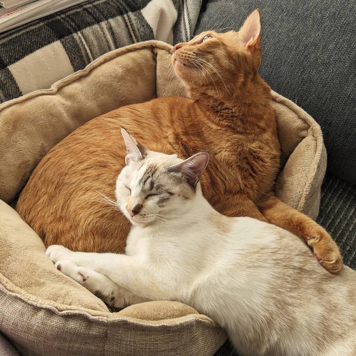 3d467452 0f8b 4276 ab05 be6779fcf7a6 1702446129646