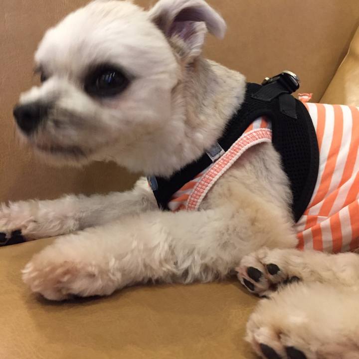 3d469c81 f982 406c bc92 b2c9117b3512 1534380630797