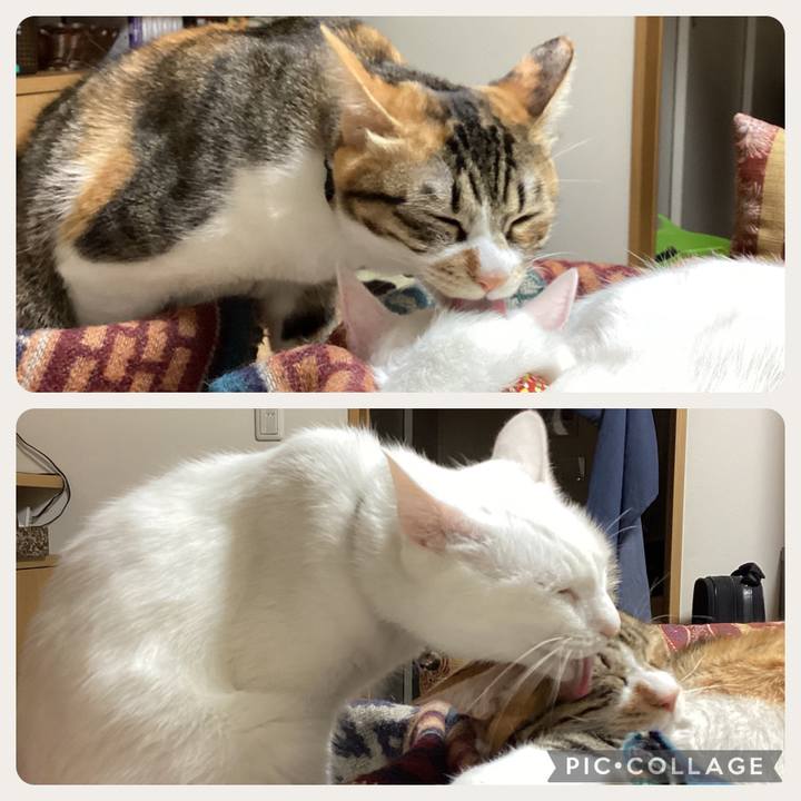 3d46bf5e 92fd 4292 af49 f123137621ef 1674005186526