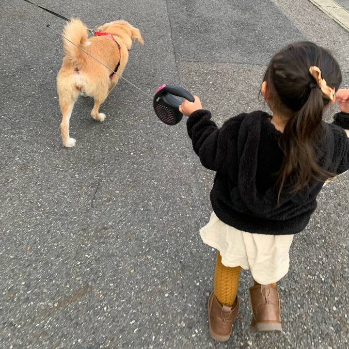 3d46ecc9 9483 4be0 866b 7911cf68d798 1573371685092