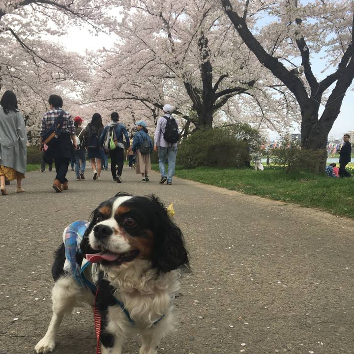 3d470907 78d3 47b7 b9df 7c726555be94 1524390326975