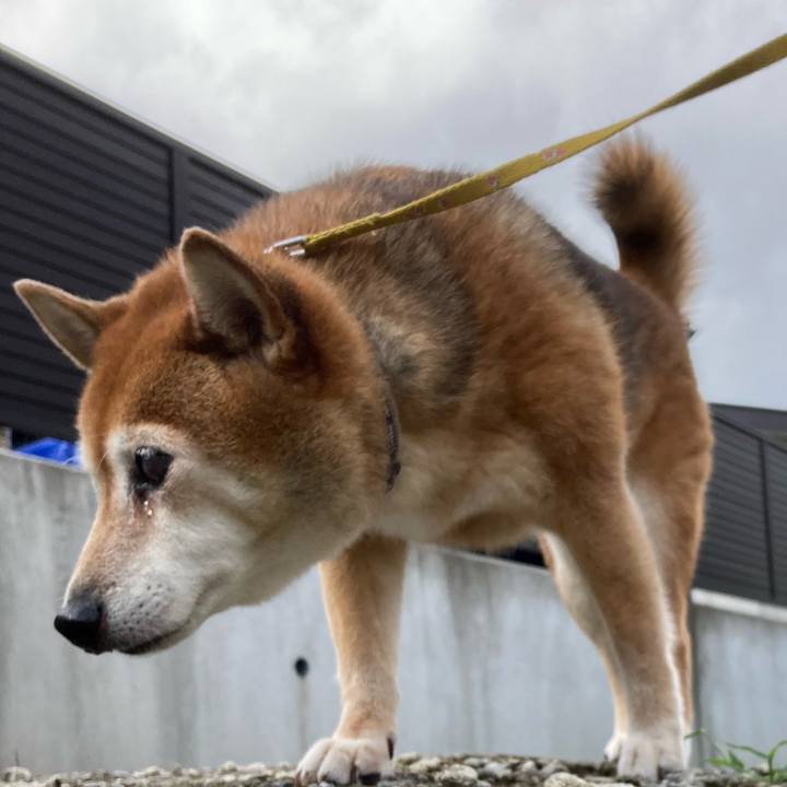 3d470b41 fafa 4dfe b8b8 1c63880b5a39 1663550156661