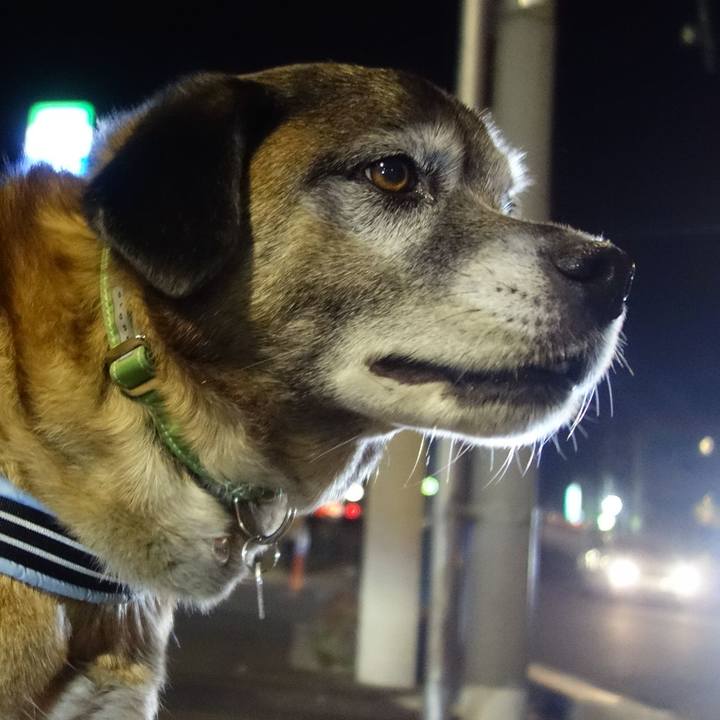 3d470ff9 35e8 46d2 81e3 8dabad8c0b01 1661214519872