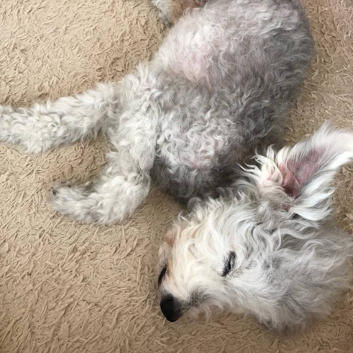 3d47191e 65c8 464c 9cf0 201bc5d5a420 1626004722907