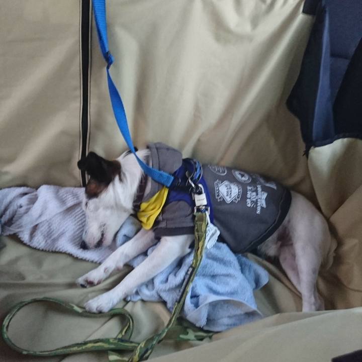 3d4760cc e5c3 4a84 833e fa493440f79a 1510385477805