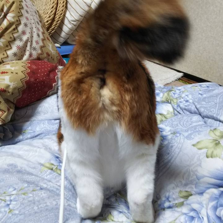 3d476ade d294 4ad4 ae84 c349af886900 1553860338670