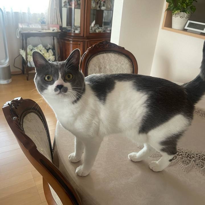 3d477f6e 8da7 43a5 a56c f102b4afdf6b 1672638536999