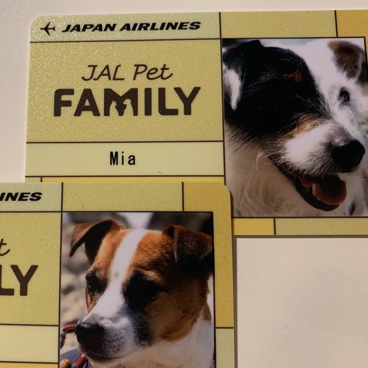 3d47c9cb 597d 407f a53b 9551b5614c00 1552482854806