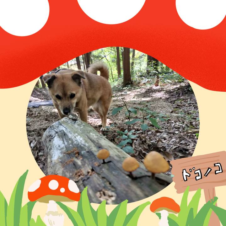 3d47ec9d 6aed 4737 b0b3 aa75cb222f8e 1729173084313