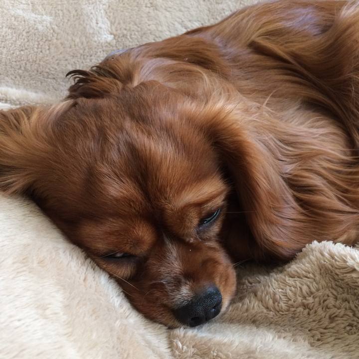 3d48023b f9e8 4d2c 9298 85935dccdaf6 1518845283048