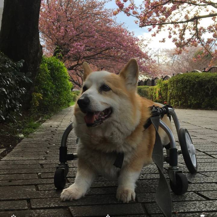 3d4852b3 97d4 47ea be54 105ad3b667d8 1586838048703