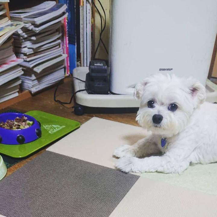 3d485913 84a0 4080 b26e 4070d1eadfc5 1628164496500