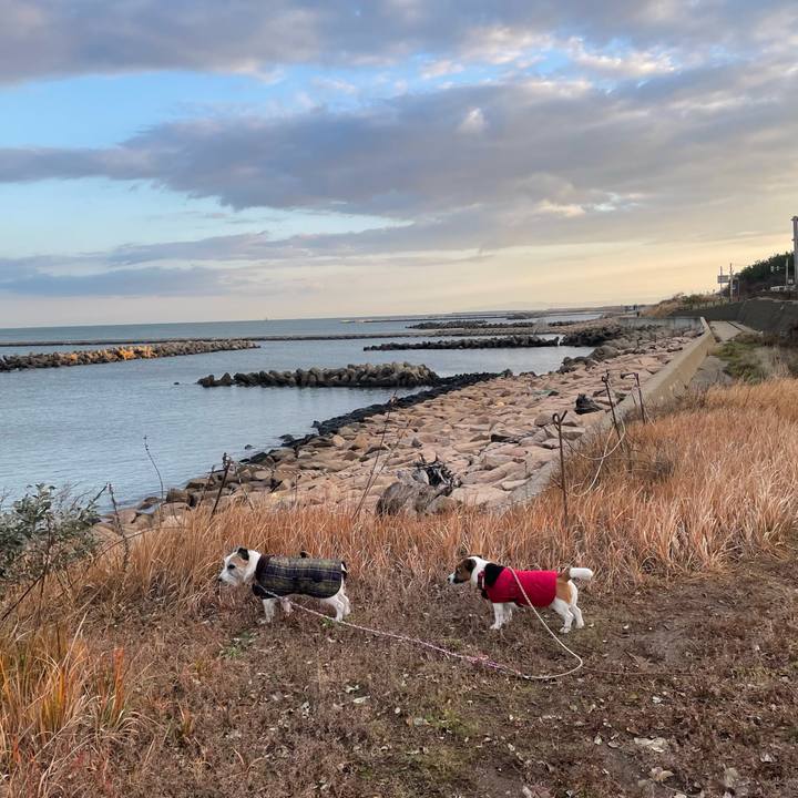 3d4885e8 1106 4ea6 b528 9c77c80c035f 1764459307152