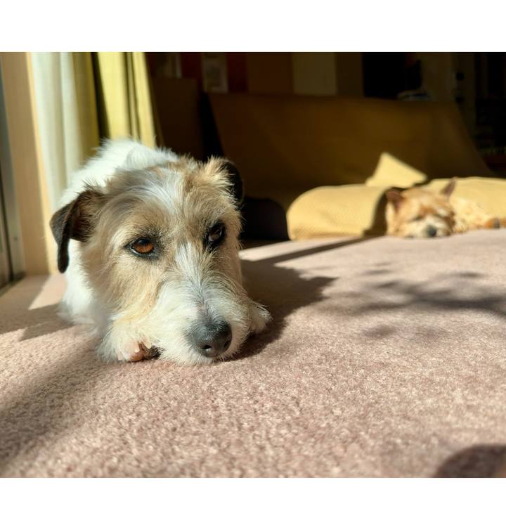 3d488642 e8c0 4976 b0a6 2e1bfc48c9b3 1737887489809