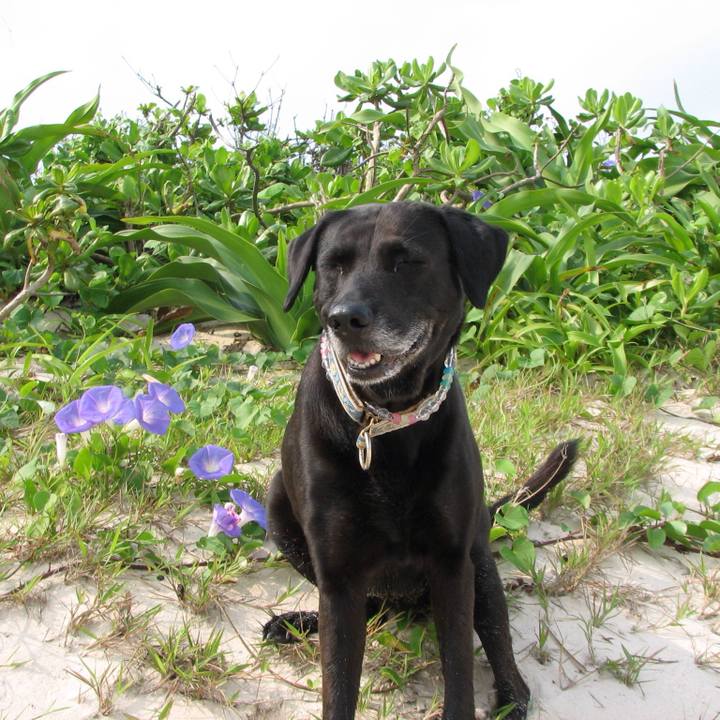 3d491259 888f 4874 8fa1 00ac1c94678c 1526475071472