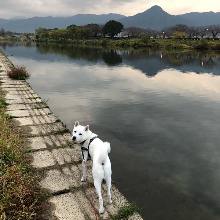 3d494546 cd91 47d0 a604 8510f2297eb1 1543360736750