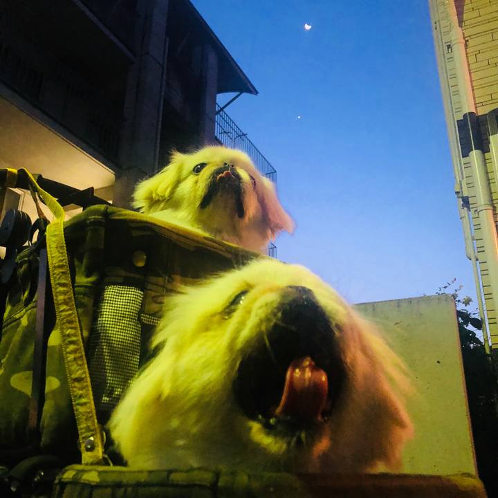 3d49606a 2aea 4179 8583 57e1c6c02b10 1597459698992