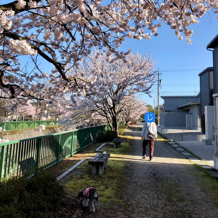 3d49e0b6 72d9 4e1d 99df 0771fe61320d 1649468855168