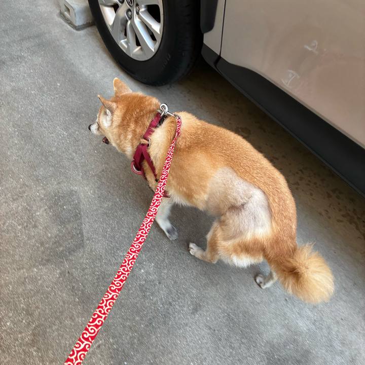 3d4a1468 9b6e 4a11 91ea d571bd32e7f7 1753924241382