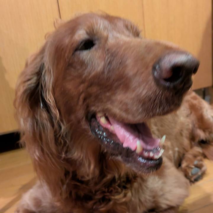 3d4a1b6f dcd7 465f 9674 fa1914011535 1756901535270