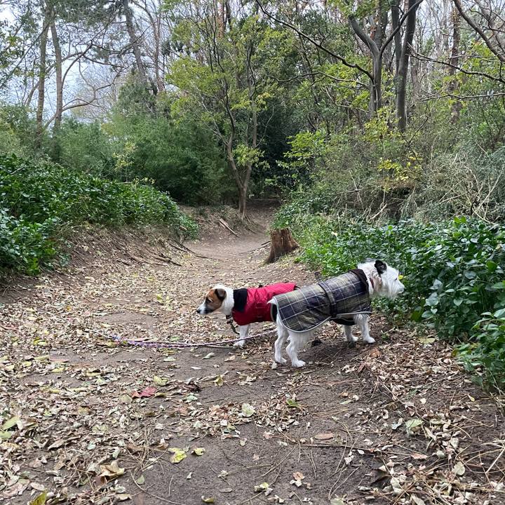 3d4a389e 401d 4709 9cd6 b632defe1869 1763420046685