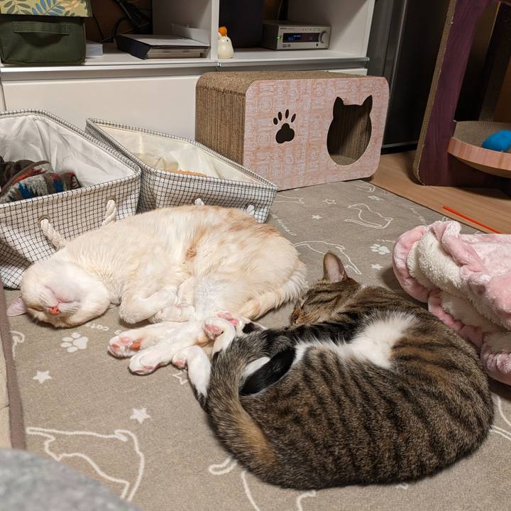 3d4a4346 7831 4987 8f99 8a785cde8b35 1709385827395