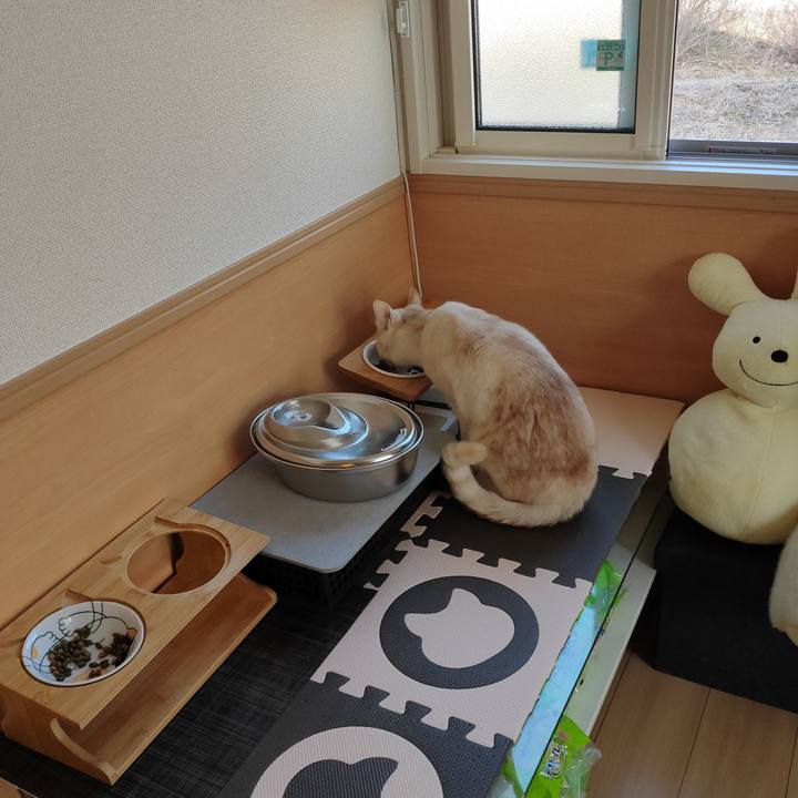 3d4a530c fd57 43b6 afab c7cd375cf006 1677914970180