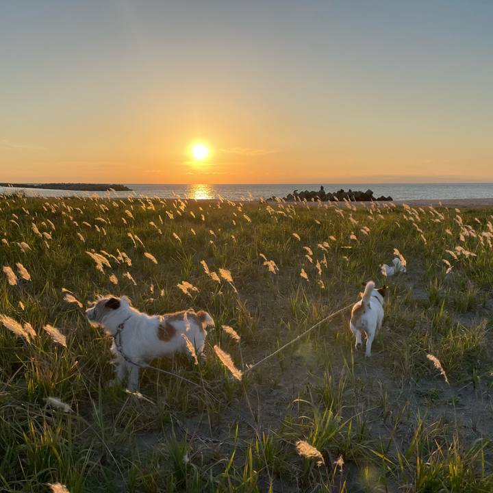 3d4ab6e9 ebe7 4b86 8139 73aef651585e 1664614864044