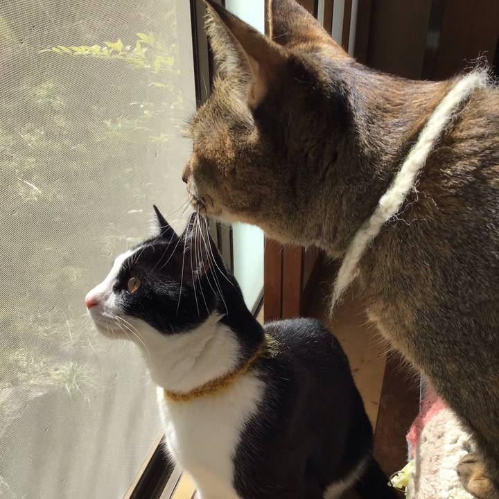 3d4ad98a a35d 46a9 82d9 49095c4118f2 1648433826373