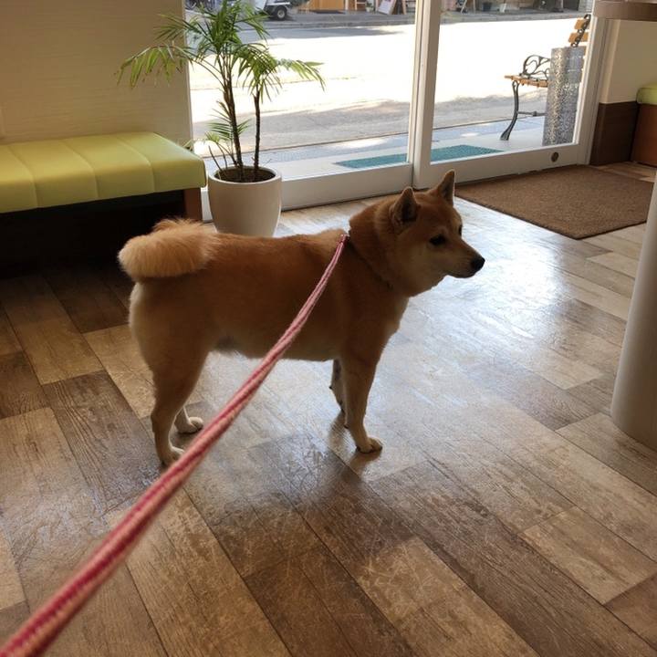 3d4b30f2 b7f7 4d3d 8853 bb6c8091a537 1558686632959