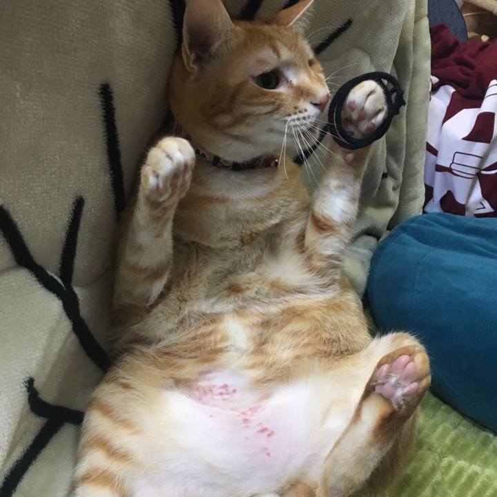 3d4b3cf6 8f3f 4f28 98d2 3cb2b044298c 1546091216578