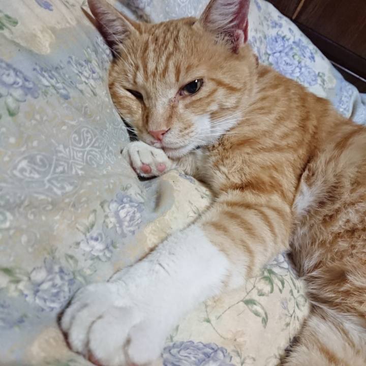 3d4b56e4 3d13 4bd7 b08f 0e6e2f27065a 1562932739810