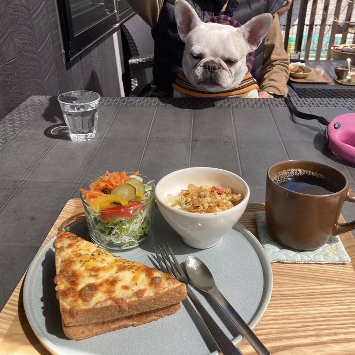 3d4b91c5 f07c 4a75 97e5 509b514334e4 1711616448406