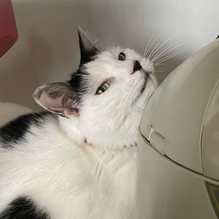 3d4ba02d 6df1 4ec7 a50d 55c3aecc8648 1614816779696