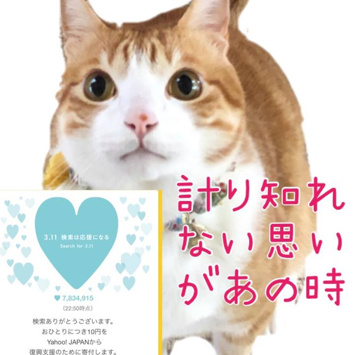 3d4bb223 26ec 4721 9b6c dd15492c0e45 1583935866771