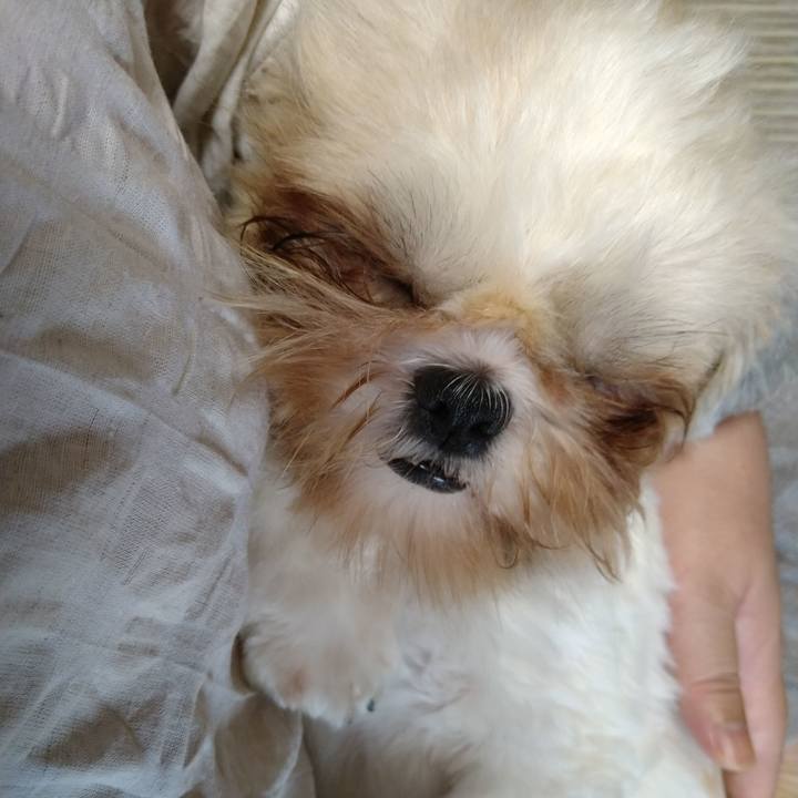 3d4bb412 807f 4ce9 a71b 996066acb281 1598925740677