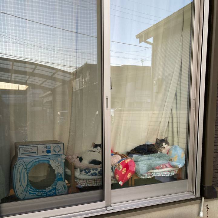 3d4c1991 12fa 41b1 be74 d3fd47bc28f5 1766821835373