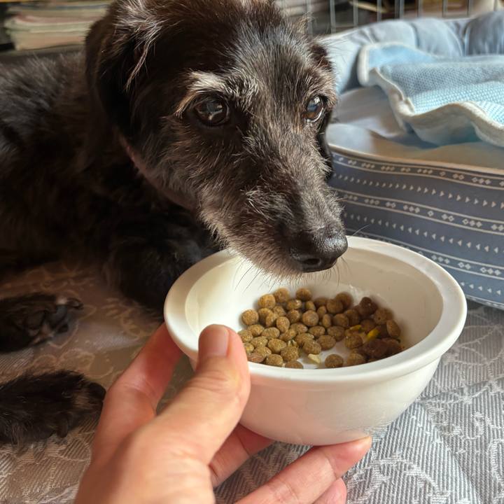 3d4c2786 bdde 4a24 8849 8e708a1b6091 1756249648236